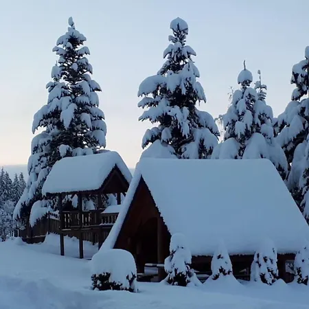Pod Limbą * Zakopane