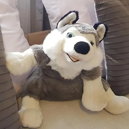 Pod Limbą Ubytování v soukromí Zakopane