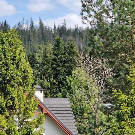 Pod Limba Homestay szállás