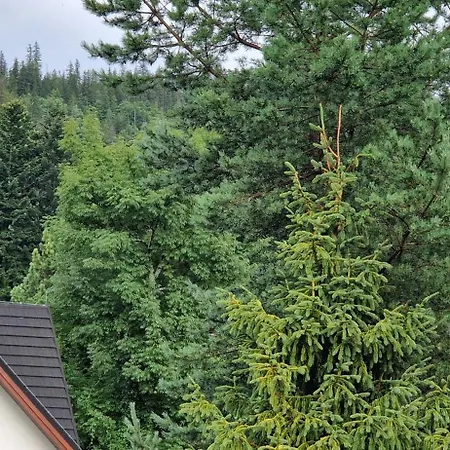 Pod Limba * Zakopane
