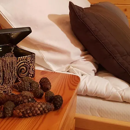 Pod Limba Homestay szállás *