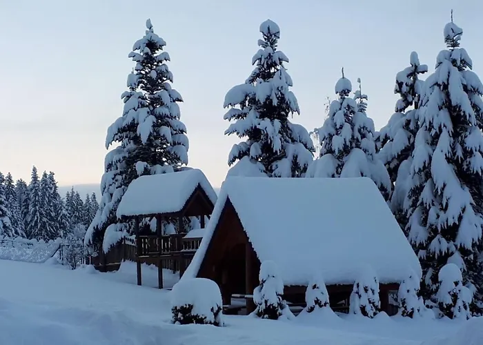 Pod Limba * Zakopane